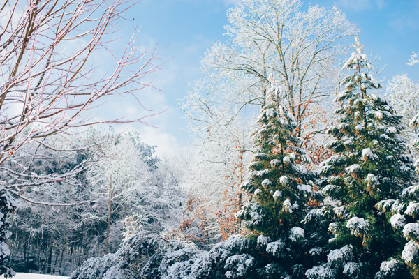 news-winter